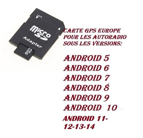 Micro carte gps europe - (8g)gps,