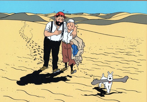 Poster tintin crabe - le,