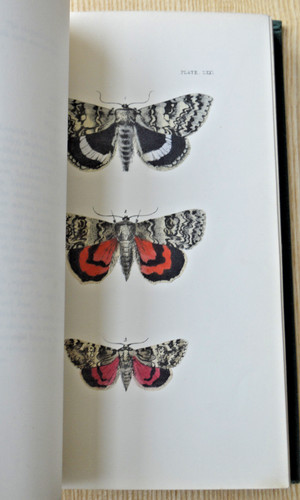 Natural history british - natural,