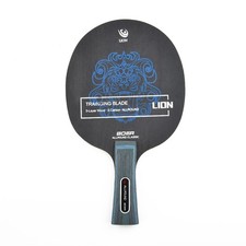 Lame Raquette de Ping-Pong Fibre de carbone Fibre du groupe Aryl Ping-Pong