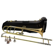 Modèle professionnel trombone