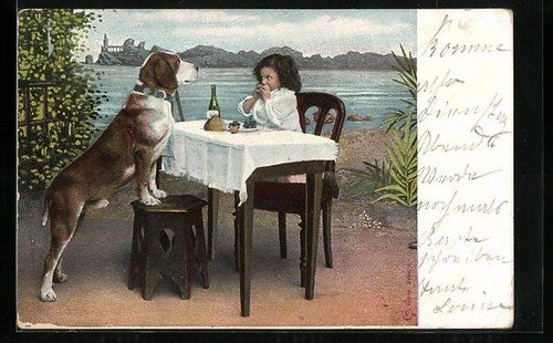 Beagle table aimerait - à,
