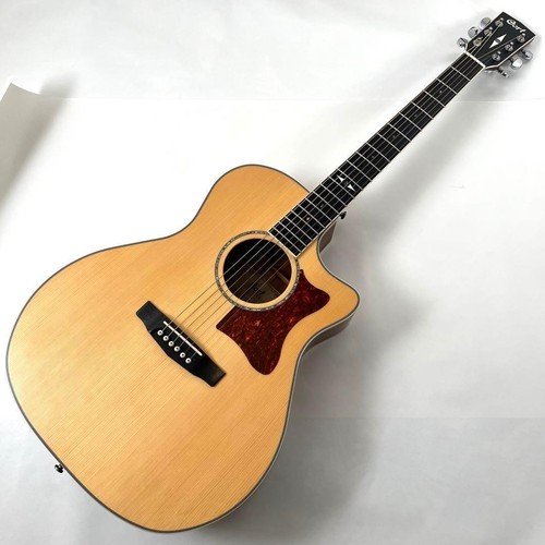 Guitare électrique acoustique