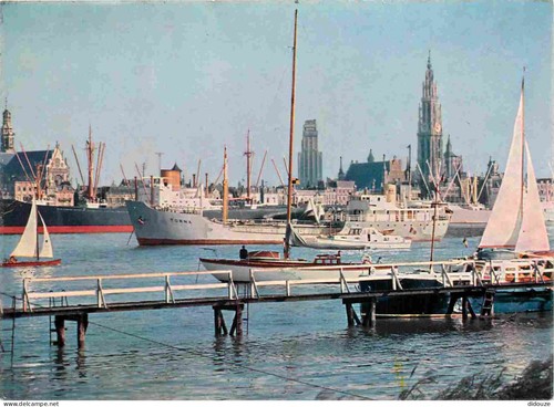 Carte postale belgique - -,