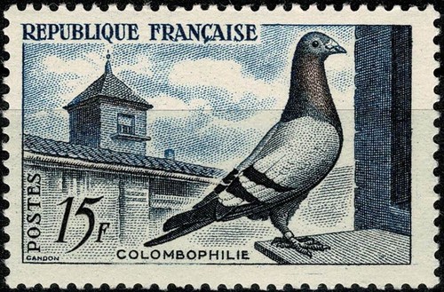 France 1957 pigeon - , voyageur