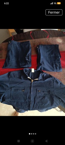 Roi bleu vêtements travail - roi,