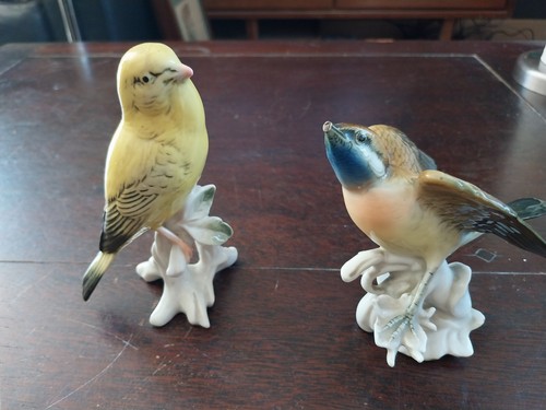 Karl ens oiseaux en - karl,