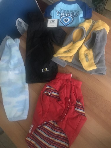 Dog cloths pieces - dc, size