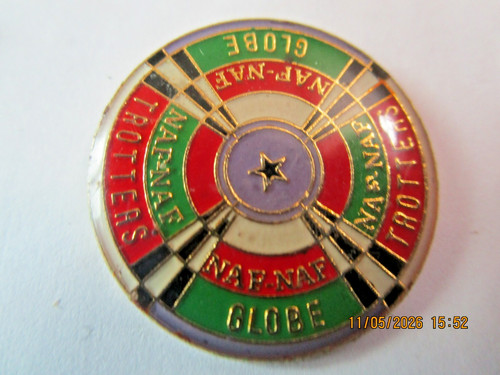 Pin naf globe - ,
