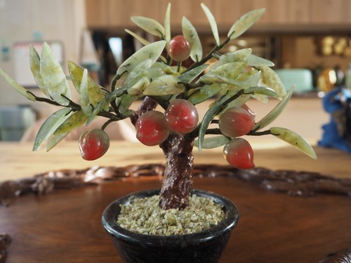Arbre bonsaï décoratif - arbre,