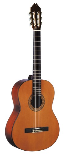 Washburn classical acoustic - washburn, c5