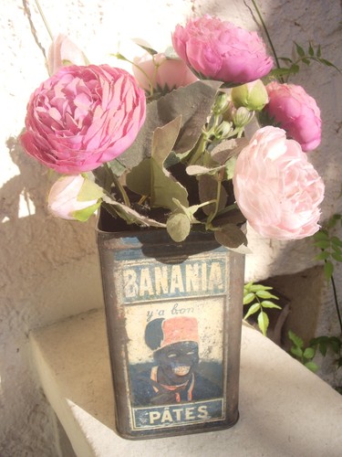 Ancienne boîte banania déco - ancienne,