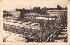 61-LA FERTE FRESNEL-LE