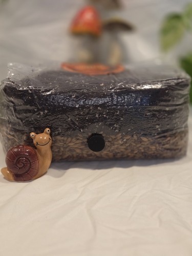 4lb all one - all-in-one, grow