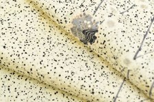 JAPANESE KIMONO VINTAGE SILK ROBE JACKET KOMON PLUM TRADITIONAL 3mt1935P