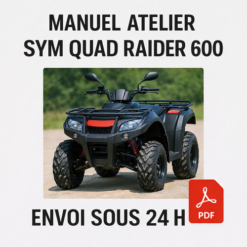 Manuel atelier sym - manuel, raider