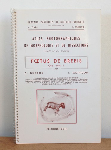 Foetus brebis matricon - foetus, i.