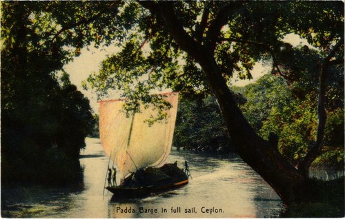 Cpa padda barge full - ak,