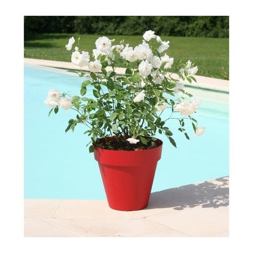 Riviera pot fleurs soleilla - pot,