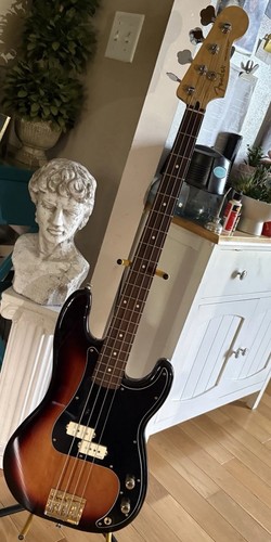 Fender player series - player,