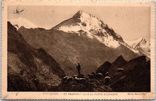 65 THE PYRENEES - a herd in the high mountains