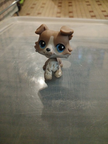 Lps littlest petshop - #67,