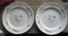 2 Preowned Brick Oven Stoneware 11” Jardin Bleu Blue Flowers Dinner Plates Chip