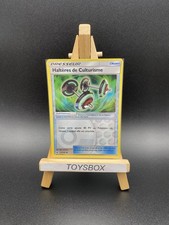 Pokemon Card Bodybuilding
