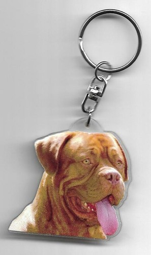 Dogue bordeaux porte clés - de,