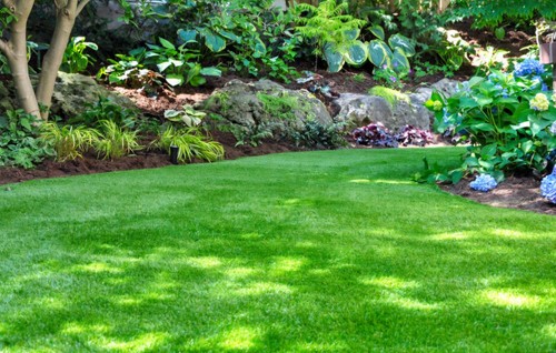 Soin gazon pelouse jardin - soin,