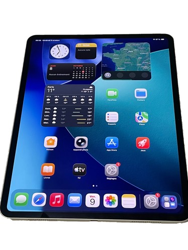Apple ipad pro 256 - pro,