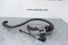 Antipollution Honda Hornet 900