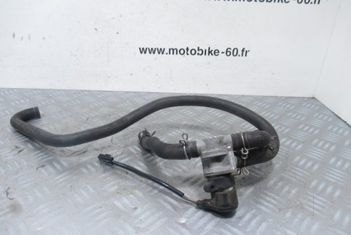 Antipollution honda hornet 900 - honda,