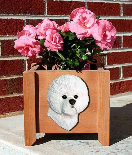 Pot fleurs bichon frise - fleurs,