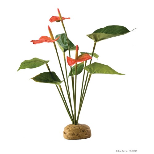 Exo terra plante terrarium - plante, de