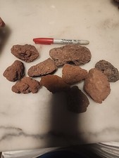 10 Large Aquarium And