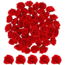 Winomo 50pcs Roses
