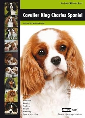 Cavalier king charles - king,