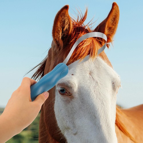 Brosse dentelée pour mue - dentelée, la