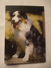 Carnet aimanté à feuilles  -