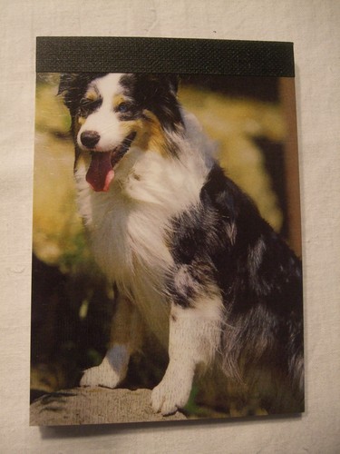 Carnet aimanté feuilles - feuilles,