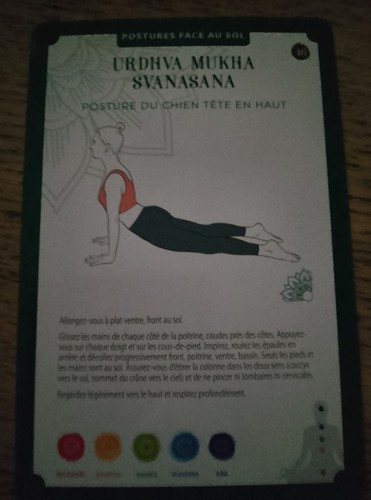 Fiche yoga urdhva mukha - urdhva,