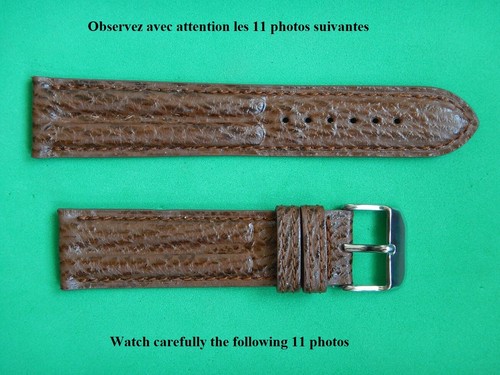 Bracelet étanche requin - 18,