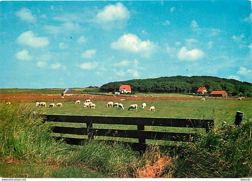 Carte postale pays bas - carte, pays-bas