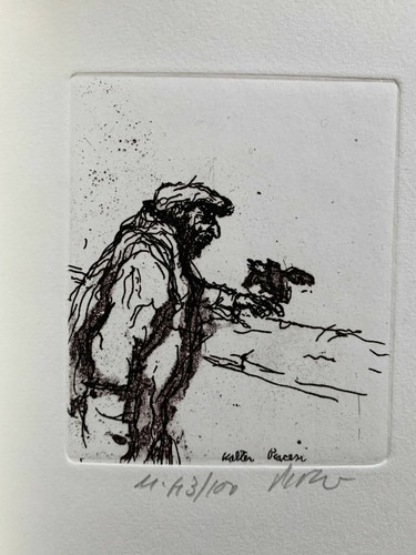 Walter piacesi livre artiste - piacesi,