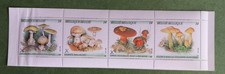 Timbres Champignons Belgique