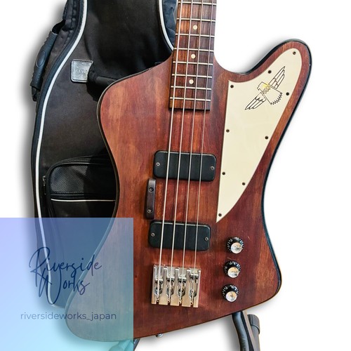 Gibson usa thunderbird - usa, studio