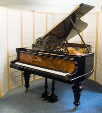 Blüthner Piano à Queue Avec Jubiläums-gussplatte, D'Occasion, 190 CM, Noir Poli