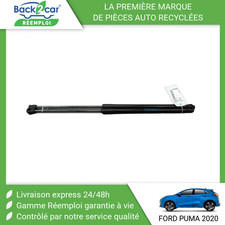 🏆 VERIN HAYON G FORD PUMA