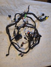 FAISCEAU SUZUKI 800 INTRUDER